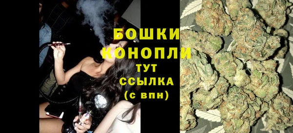 прущие грибы Балабаново