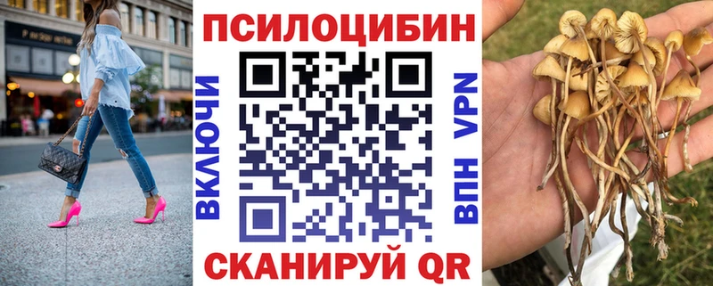 Галлюциногенные грибы Psilocybine cubensis Гусев