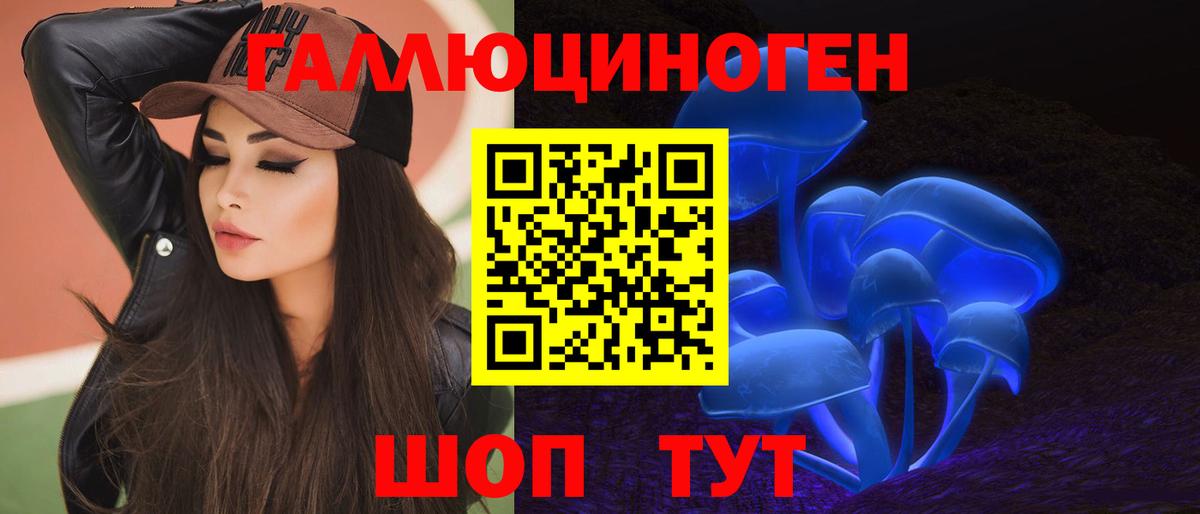 Псилоцибиновые грибы GOLDEN TEACHER  Галлюциногенные грибы мицелий  Гусев 