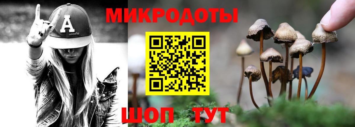 Галлюциногенные грибы Psilocybe Гусев